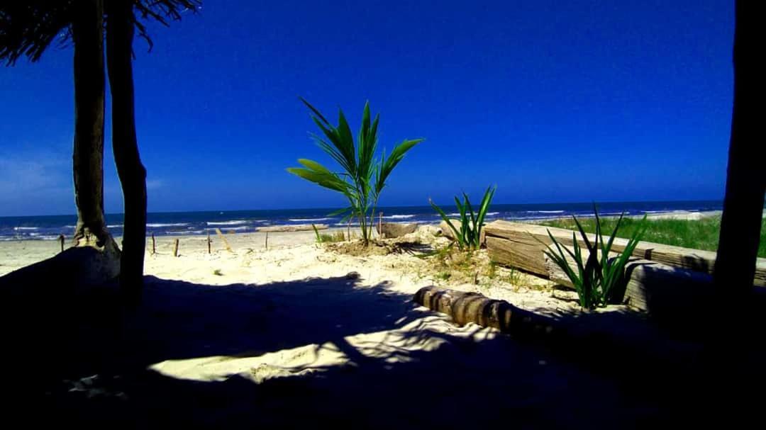 Urantia Beach Hostel & Camping San Onofre Eksteriør billede
